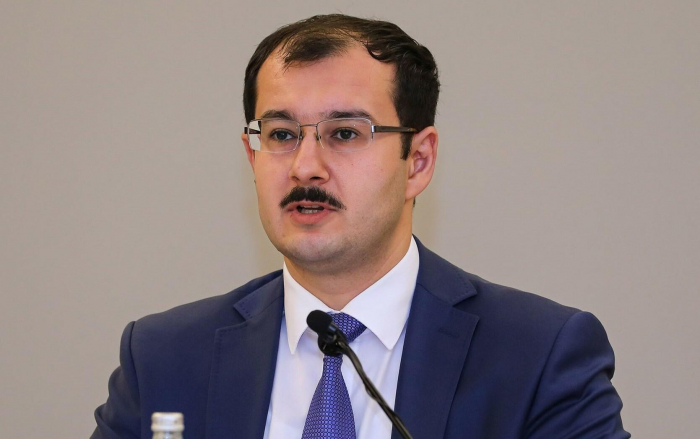    "Qarabağ ermənilərinin etnik təmizləmə ilə üzləşdiyi iddiaları əsassızdır"   