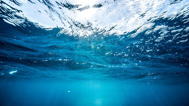  Okean suyunun istiliyi rekord həddə çatıb 