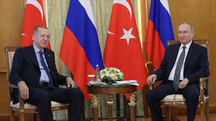 Ərdoğan Putindən amfibiya təyyarələri istədi