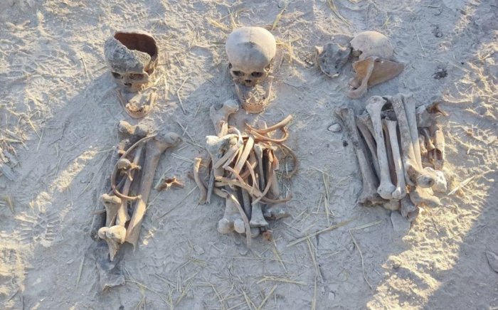   İtkin düşənlərin qohumları və naməlum meyitlərdən bioloji materialın götürülməsi qaydası müəyyənləşib  
   