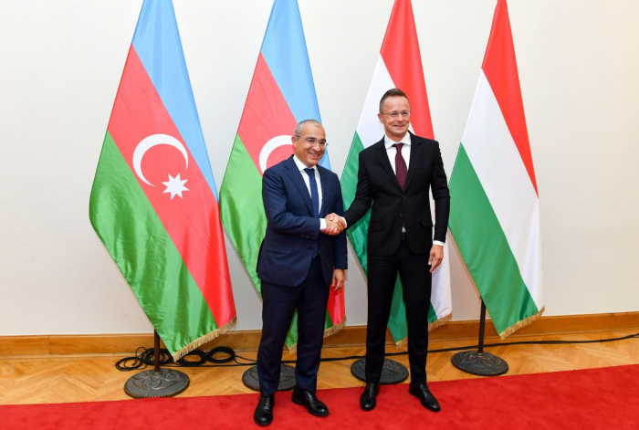 Azerbaijan, Hungary explore potential partnering on green energy projects
