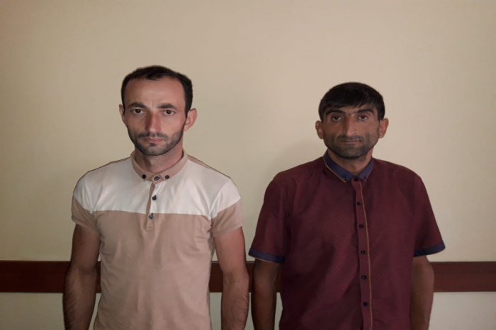    Mal-qara oğruları saxlanıldı   