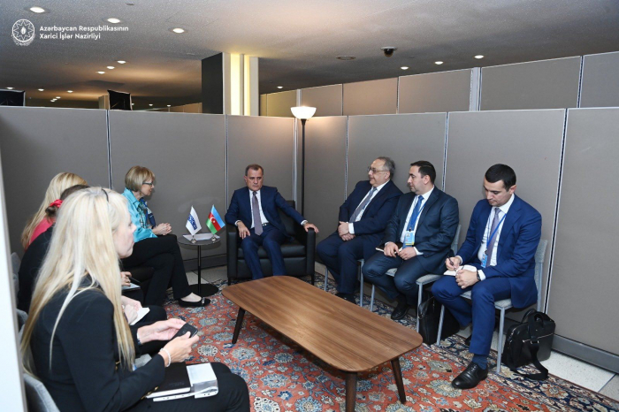   Azerbaijani FM meets OSCE SecGen  
