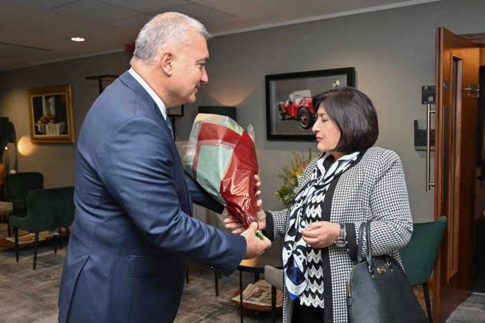 Azerbaijani parliament speaker embarks on visit to Ireland