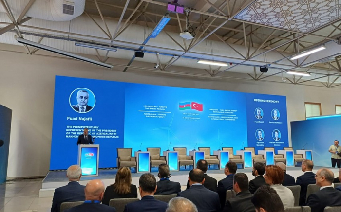     Fuad Najafli:   „Aserbaidschans Energiepolitik ist ein strategischer Faktor für die Sicherheit der Region“  