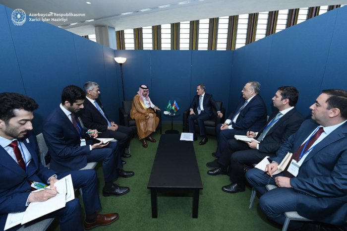 Azerbaijan, Saudi Arabia mull bilateral cooperation agenda