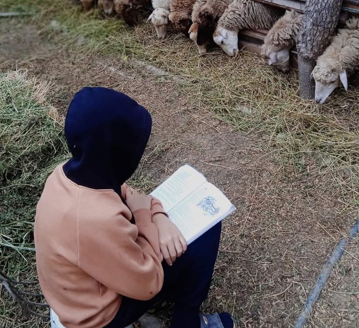    Həm qoyun otardı, həm də dərs oxudu -    Foto       