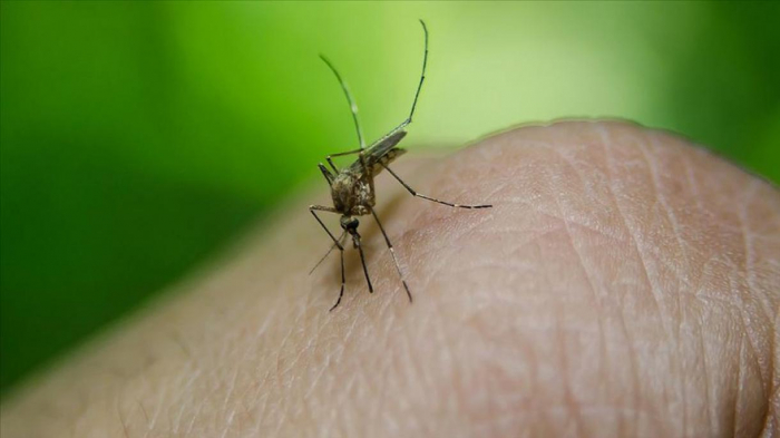 Banqladeşdə təhlükəli epidemiya
