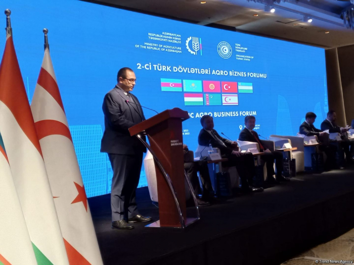 Turkic states have great economic power - Azerbaijan