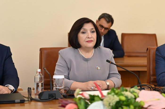   Sahibə Qafarova:    “İrəvanın sürətlə silahlanması region üçün yeni təhlükələrə gətirib çıxarır”  
