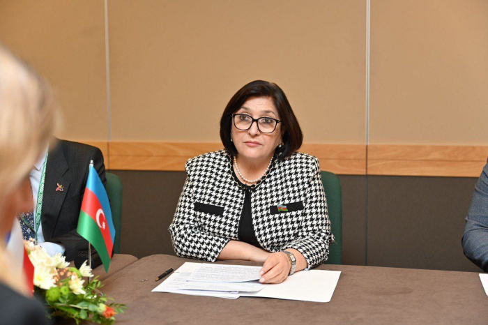 Azerbaijan has enough proof of Armenian lies, says parliament speaker