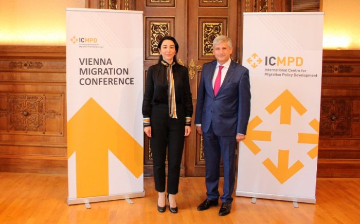 Ombudsman Vyana Miqrasiya Konfransında iştirak edib