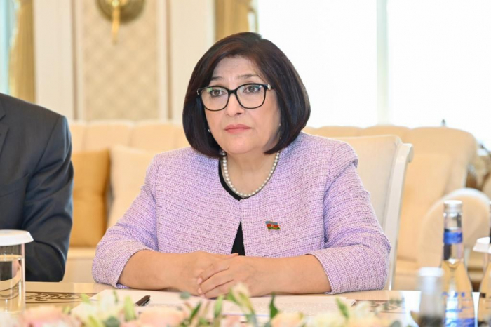 Speaker of Azerbaijani Parliament visits Türkiye