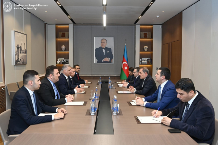 Azerbaijani FM meets with delegation of Iraqi Parliament