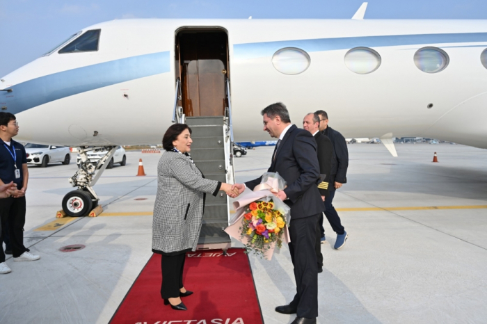 Una delegación del Parlamento de Azerbaiyán realiza una visita oficial a la República de Corea