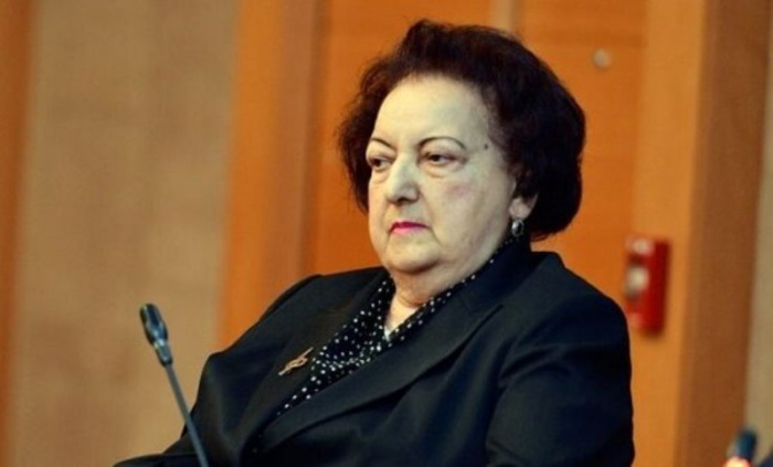    "O qədər də yaxşı deyiləm" -    Elmira Süleymanova haralardadır?      