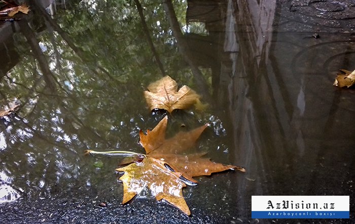    Sabah leysan yağacaq, şimşək çaxacaq     
