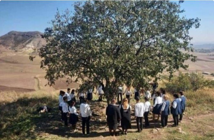    Şagirdlərin "dilək ağacı" ətrafındakı fotosu ilə bağlı    açıqlama       