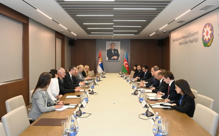 XİN rəhbəri Orliçlə regiondakı vəziyyət müzakirə edib