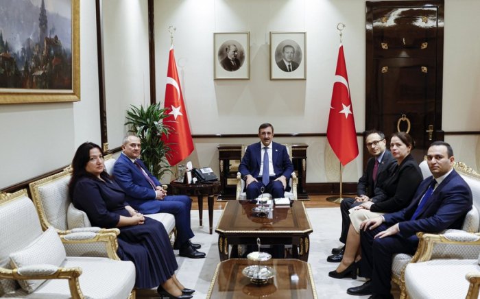    Ərdoğanın köməkçisi YAP nümayəndə heyətini qəbul edib     
