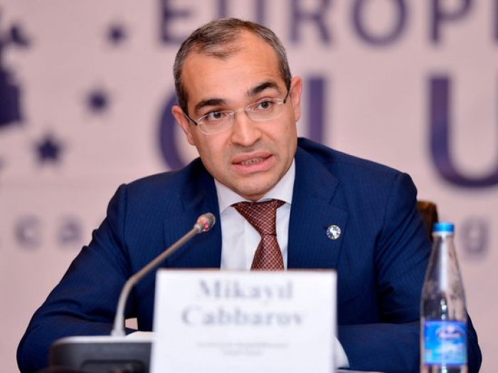    "Ölkədə biznes fəaliyyəti geniş miqyas alıb" -    Mikayıl Cabbarov       