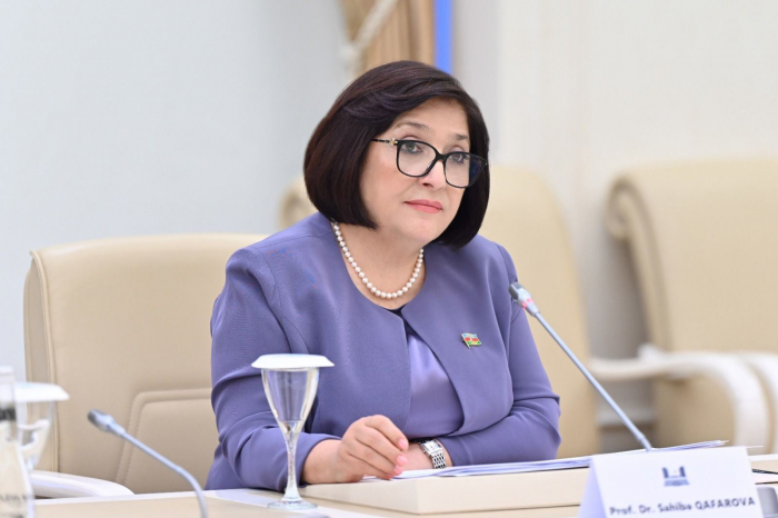 Azerbaijan, South Korea can interact in new formats of co-op - Sahiba Gafarova 