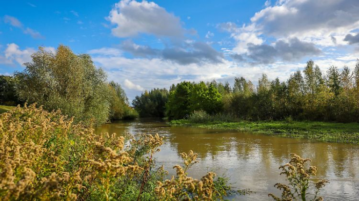   EU-Staaten einigen sich auf Gesetz zur Wiederherstellung der Natur  