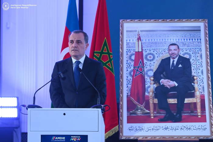 Azerbaijani FM delivers speech at Azerbaijani-Moroccan business forum