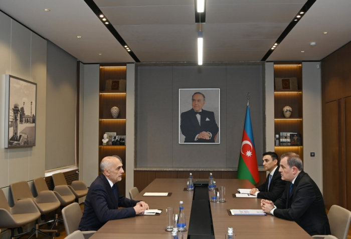  Azerbaijani FM meets with GUAM Secretary General 