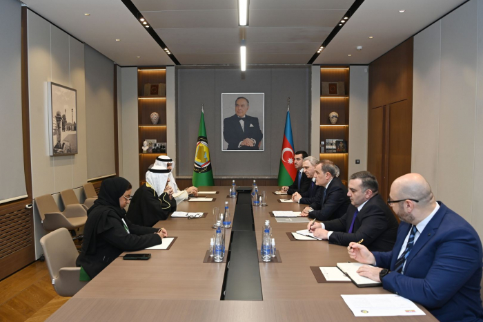 Azerbaijani FM discusses regional issues with SecGen of Gulf Cooperation Council