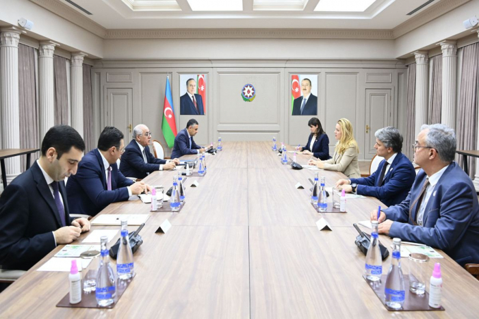 Azerbaijani PM holds meeting with Executive Secretary of UN Economic Commission for Europe