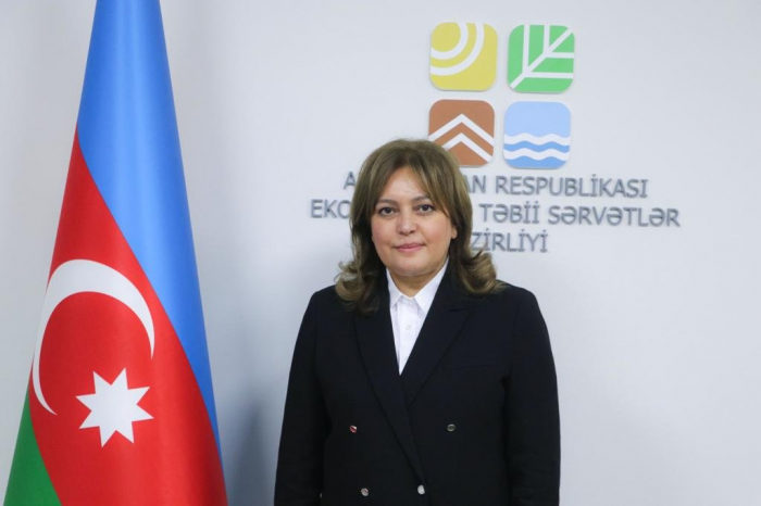 Deputy minister shares Azerbaijan