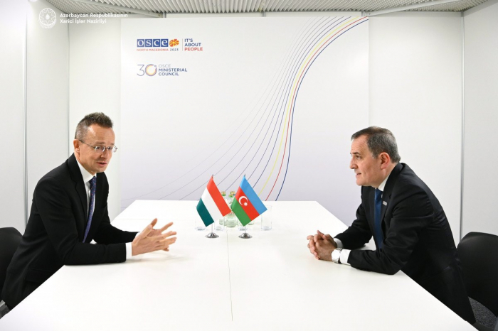 Foreign ministers of Azerbaijan and Hungary meet