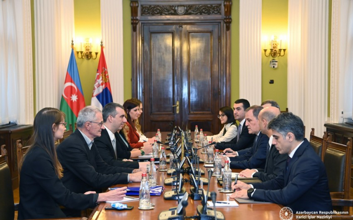   Azerbaijani FM meets Chairman of Serbian National Assembly  