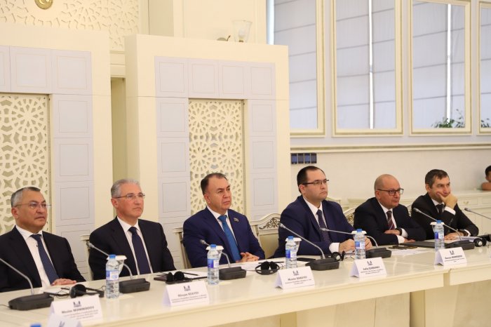  "Azərbaycanda  1.5 milyona yaxın  mina və partlamamış sursat var"