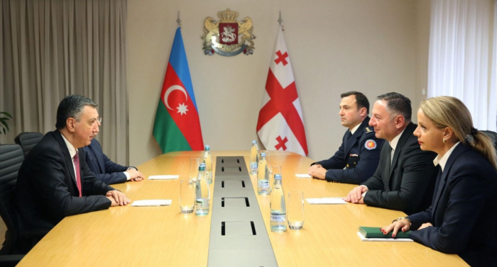 Azerbaijani, Georgian law enforcement agencies mull prospects for cooperation