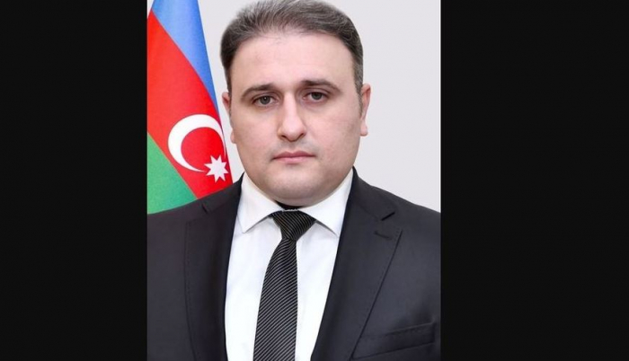 Newly appointed Defense Industry Minister of Azerbaijan - dossier