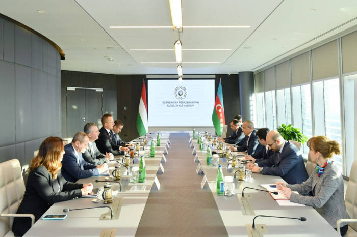 Azerbaijan and Hungary discuss development of economic relations