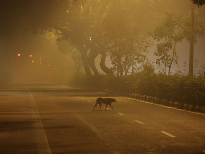 Trois villes indiennes parmi les 10 les plus polluées au monde après la fête de Diwali