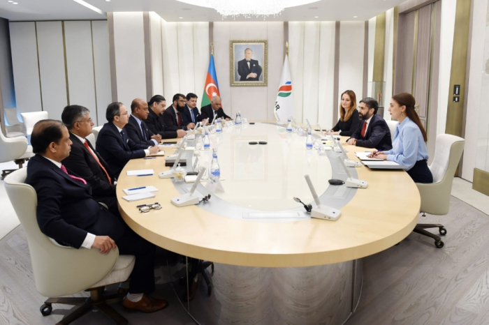 SOCAR, Pakistani companies discuss prospects for cooperation