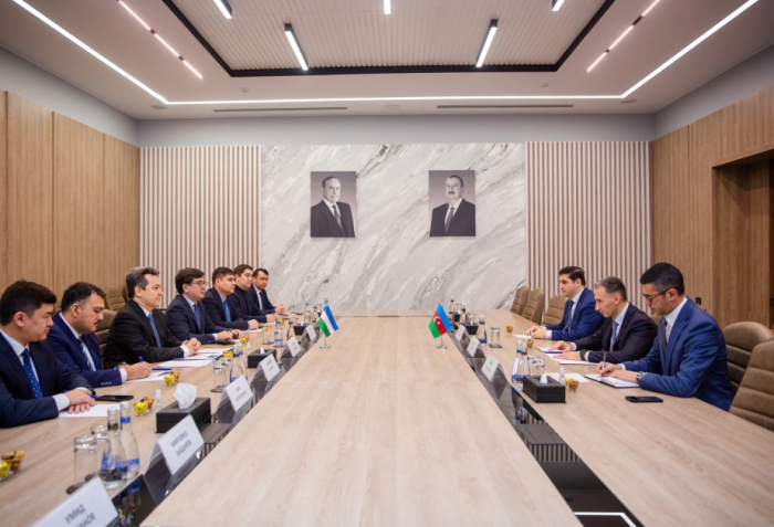 Azerbaijan, Uzbekistan discuss cooperation in fields of cybersecurity and space
