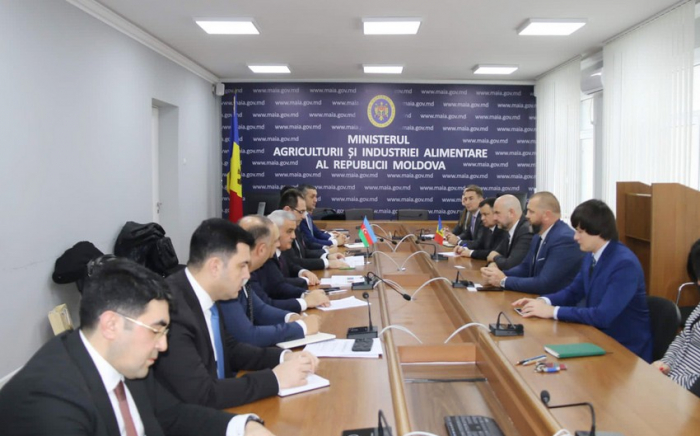 Azerbaijan and Moldova discuss cooperation in agrarian sector