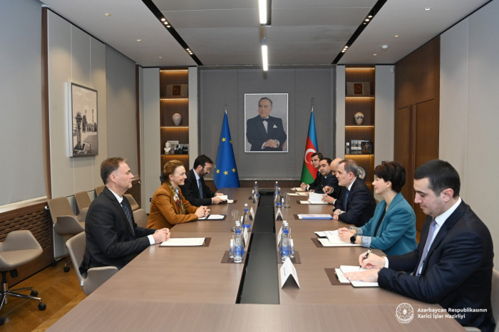   Aserbaidschan und Europarat diskutieren die aktuelle Situation in der Region und die zukünftige Zusammenarbeit  
