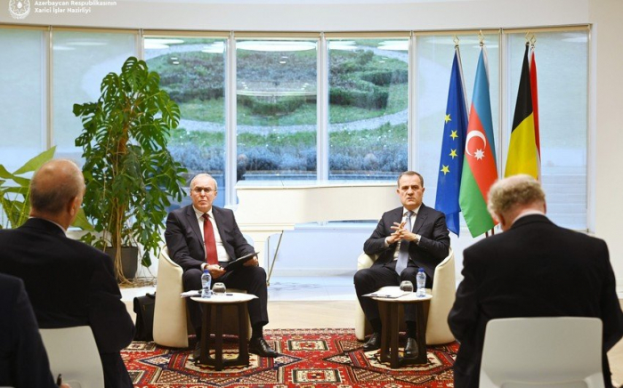   Azerbaijani FM briefs journalists and key think tanks in Brussels  