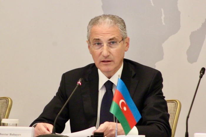 Azerbaijan in fit state to host COP29 - minister