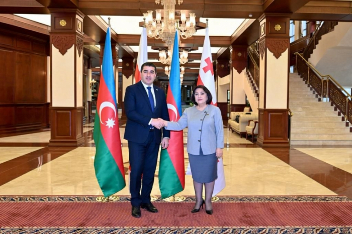     Shalva Papuashvili:   Die im Februar 2024 in Aserbaidschan stattfindenden Präsidentschaftswahlen sind historische Wahlen  