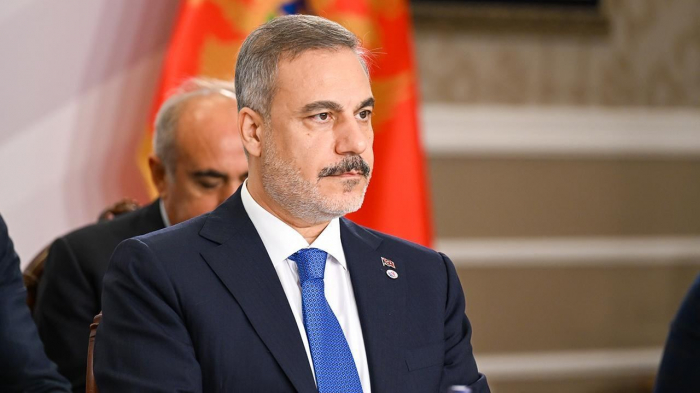 Armenian diaspora in the West setting some countries against Azerbaijan - Turkish FM