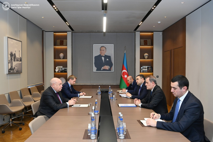 Azerbaijani FM discusses regional situation with special representative of Russian President