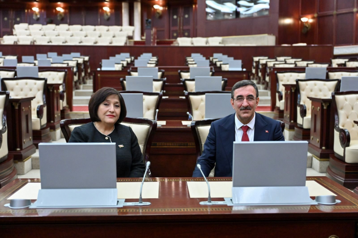 Speaker of Azerbaijani parliament meets Turkish Vice President 