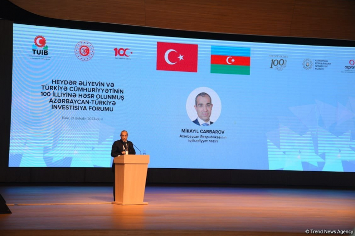 Projects co-handled by private sector promote Azerbaijani-Turkish economies: Minister 